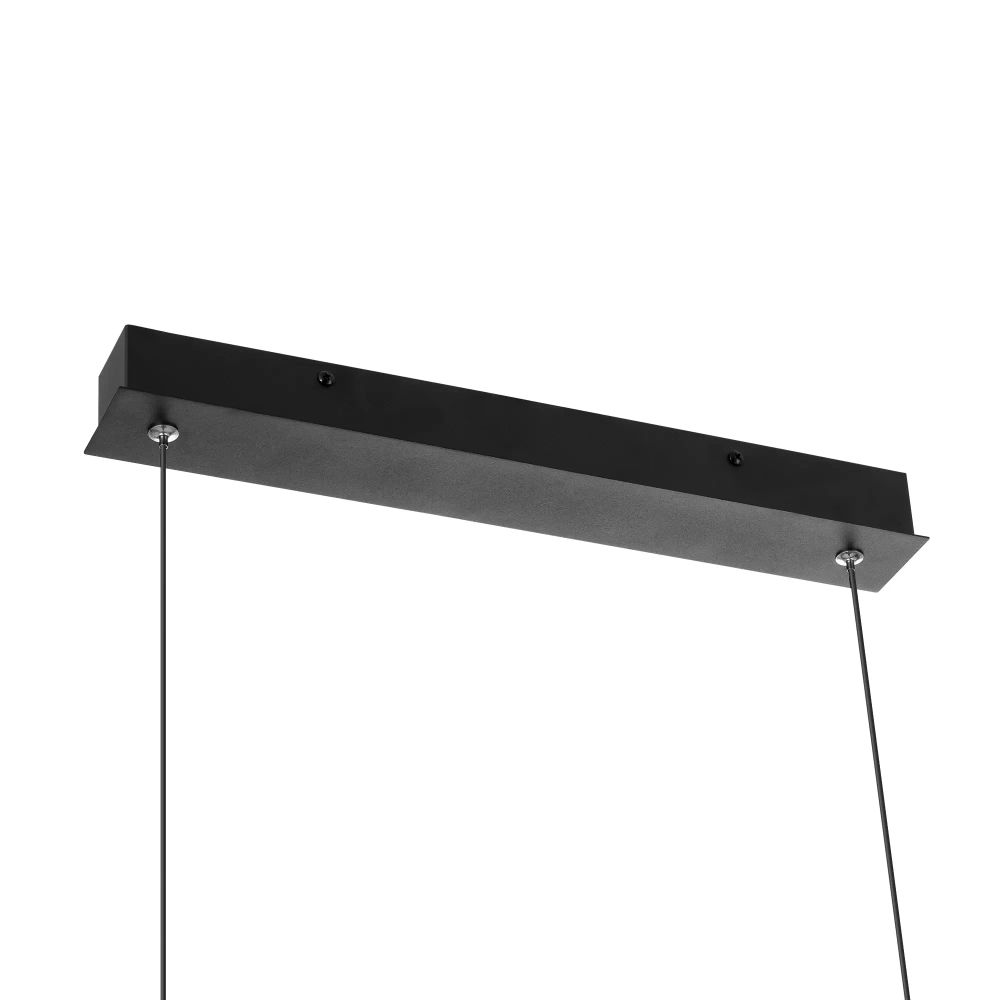 Citilux PYTHON CL220121 Подвесной светильник с пультом Чёрный