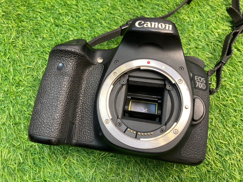Canon 70D 19.500 кадров