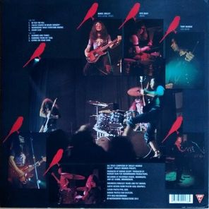 Budgie / In For The Kill! (LP)