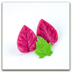 Листья пузыреплодника калинолистного большие