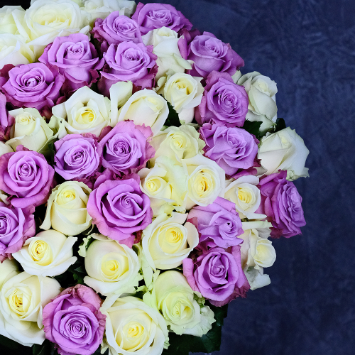 Купить Розы микс "Лунная соната" от 15шт