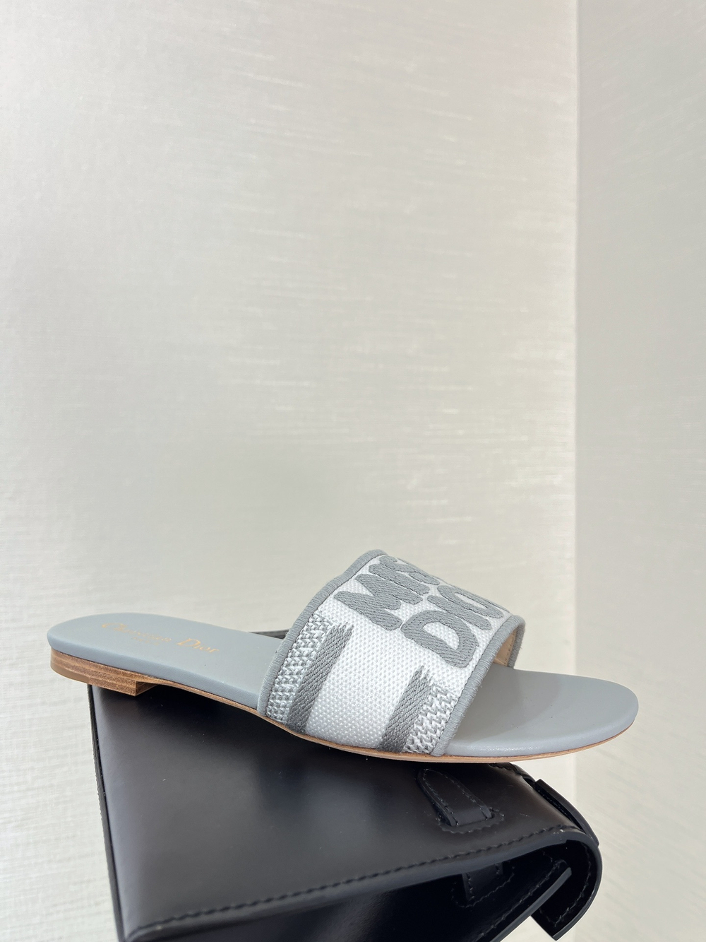 Christian Dior Dway Slide (11 colors)