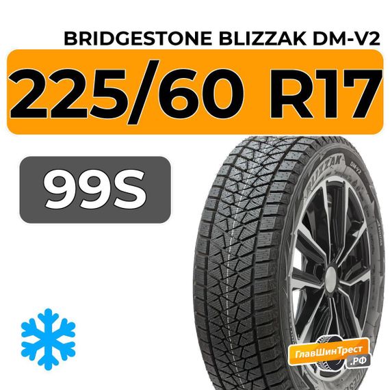 Bridgestone Blizzak DM-V2 225/60 R17 99S