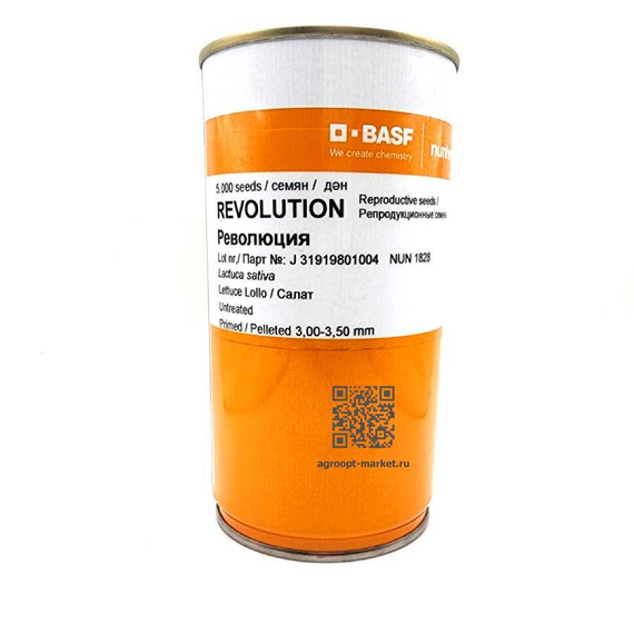 Шұңқырлар бейне Жағажайдағы жалаңаш секс фотосуреттері