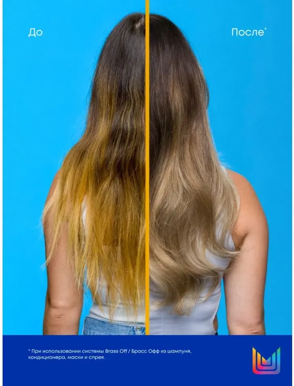 БРАСС ОФФ Шампунь 300 мл ( E2236005 )