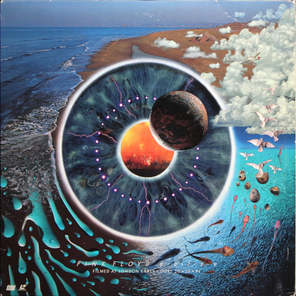 Pink Floyd / Pulse (2LD)