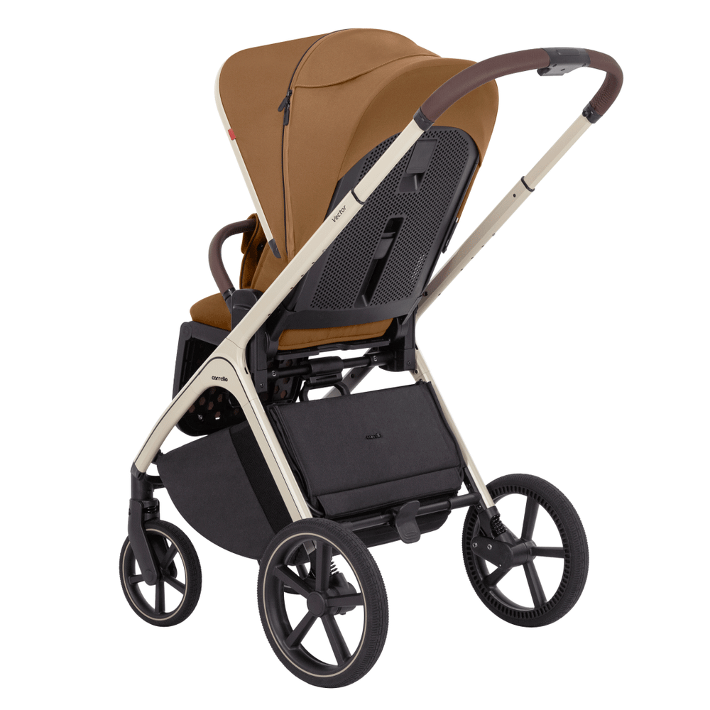 Коляска 2 в 1 Carrello Vector CRL-6550