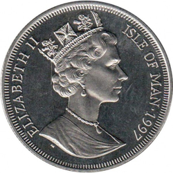 Длинношёрстная дымчатая кошка