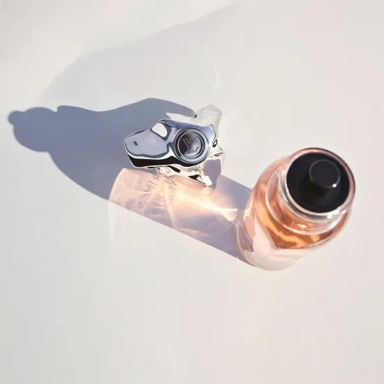 Louis Vuitton Stellar Times