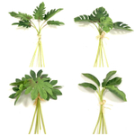 Аралия листья 5 шт