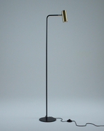 Торшер Moderli V11003-FL Fine