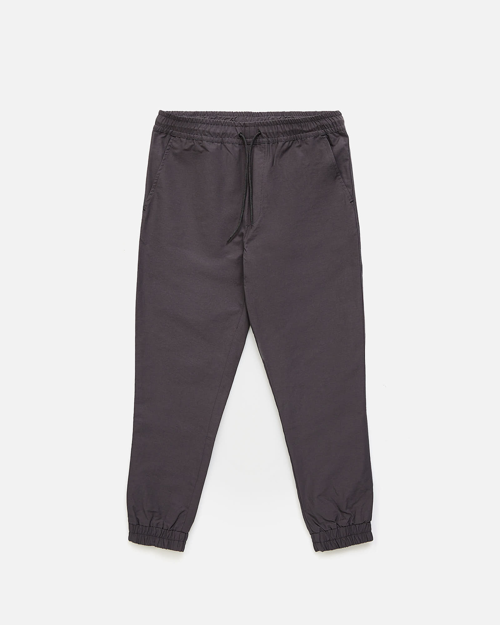 Брюки Anteater Joggers gray