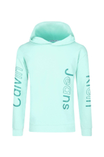 Худые Calvin Klein Jeans - мятный(IB0IB02040)