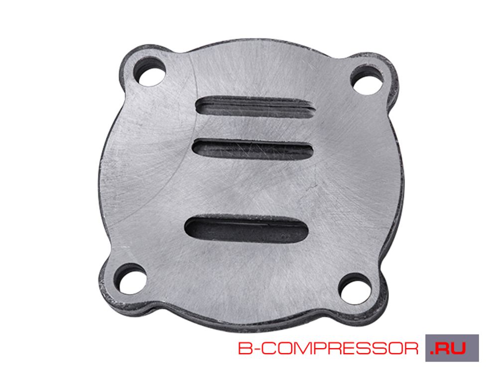 Клапанная группа 21124013 Remeza LH 20-2, LB 30-2, LB 40-3