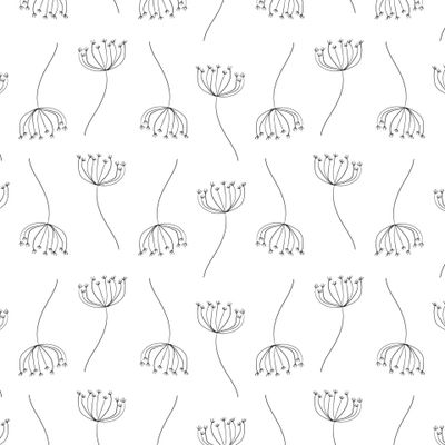 Укроп на белом фоне