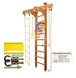 Шведская стенка Kampfer Wooden Ladder Ceiling Basketball Shield 3м с матом