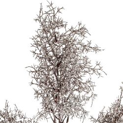 GAEM Цветок искусственный, L37 W18 H110 см