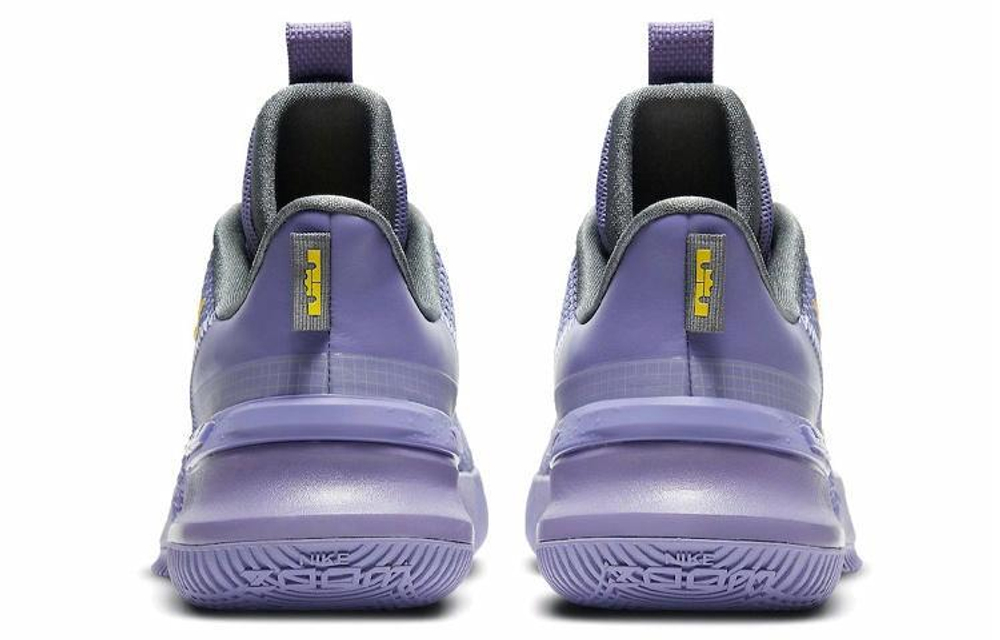 Кроссовки Nike Ambassador 13 Lebron Lakers 13