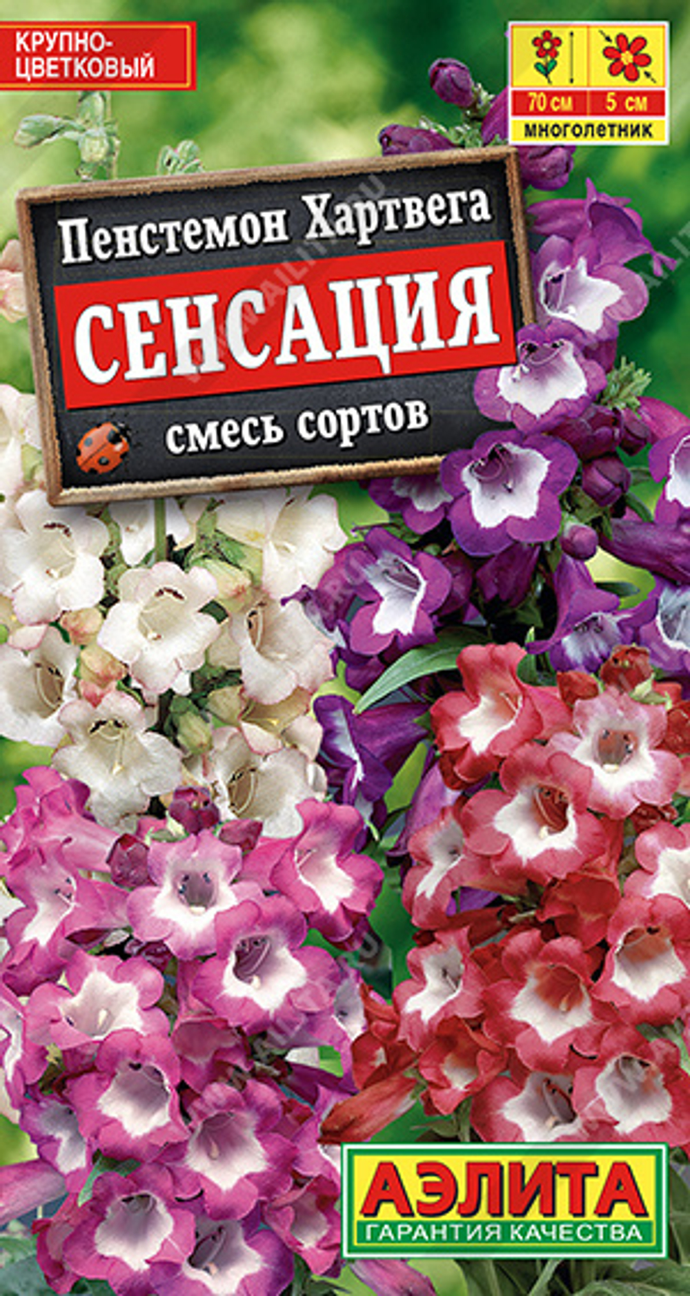 Пенстемон Сенсация, смесь сортов 0,1гр Аэлита