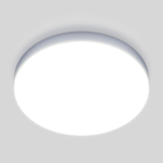 Потолочный светодиодный светильник DLR043