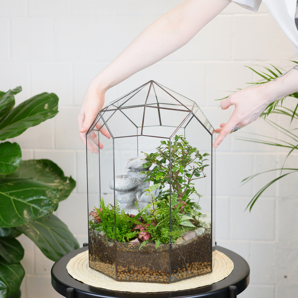 Готовый флорариум Ботанический сад с бонсай XL с водопадом