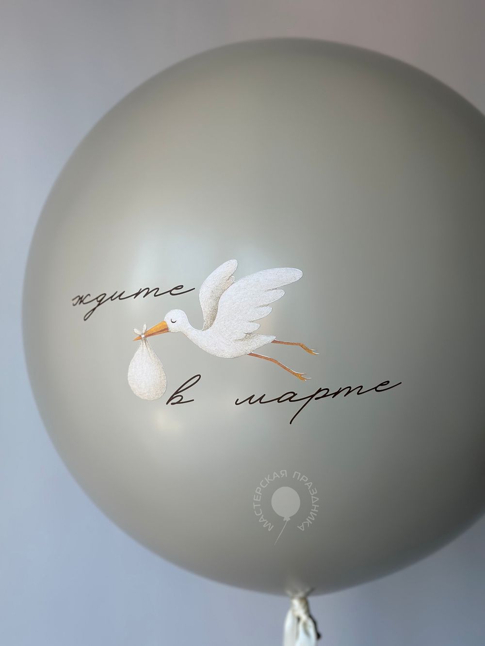 Воздушные шары на определение пола №8656  Изображение2