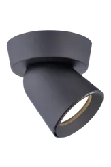 SL-50170-1R-GU-BK (1/20) Светильник