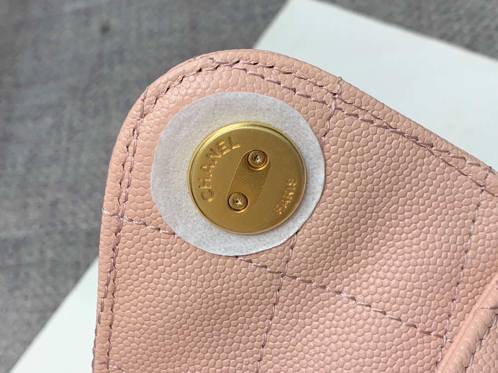 Chanel 25 Mini Handbag 22 cm