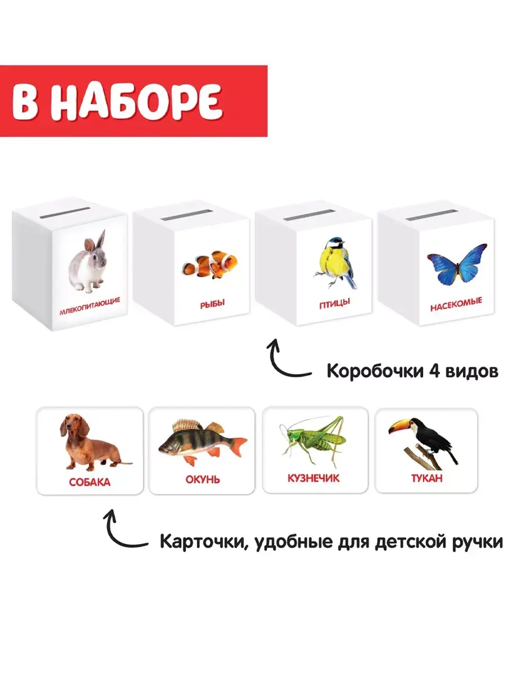 Сортер-копилка Животные по методике Г. Домана