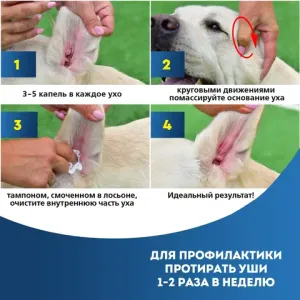 Лосьон для кошек и собак Cliny для ушей, 50мл Лосьон для кошек и собак Cliny для ушей, 50мл