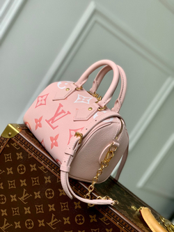 Louis Vuitton Speedy 20