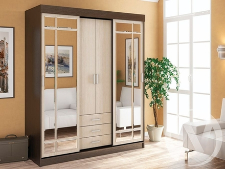 Шкаф-купе Лидер 1К