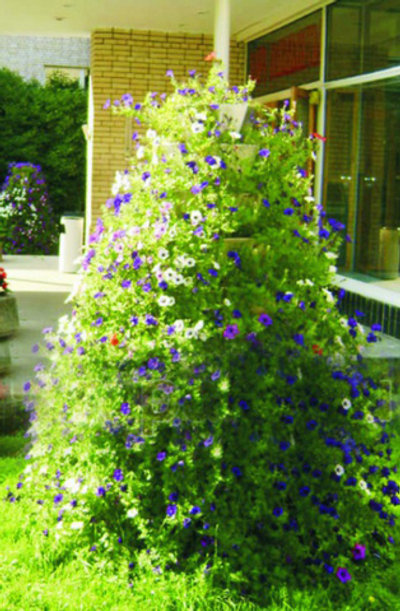 Цветочница Пирамида-4