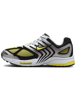 Кроссовки Nike Air Zoom Pegasus 2005 'Opti Yellow Metallic Silver'