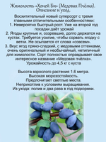 Жимолость Хоней Би Медовая Пчёлка новый сорт