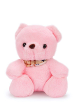 Мягкая игрушка Мишка 23см, KK395