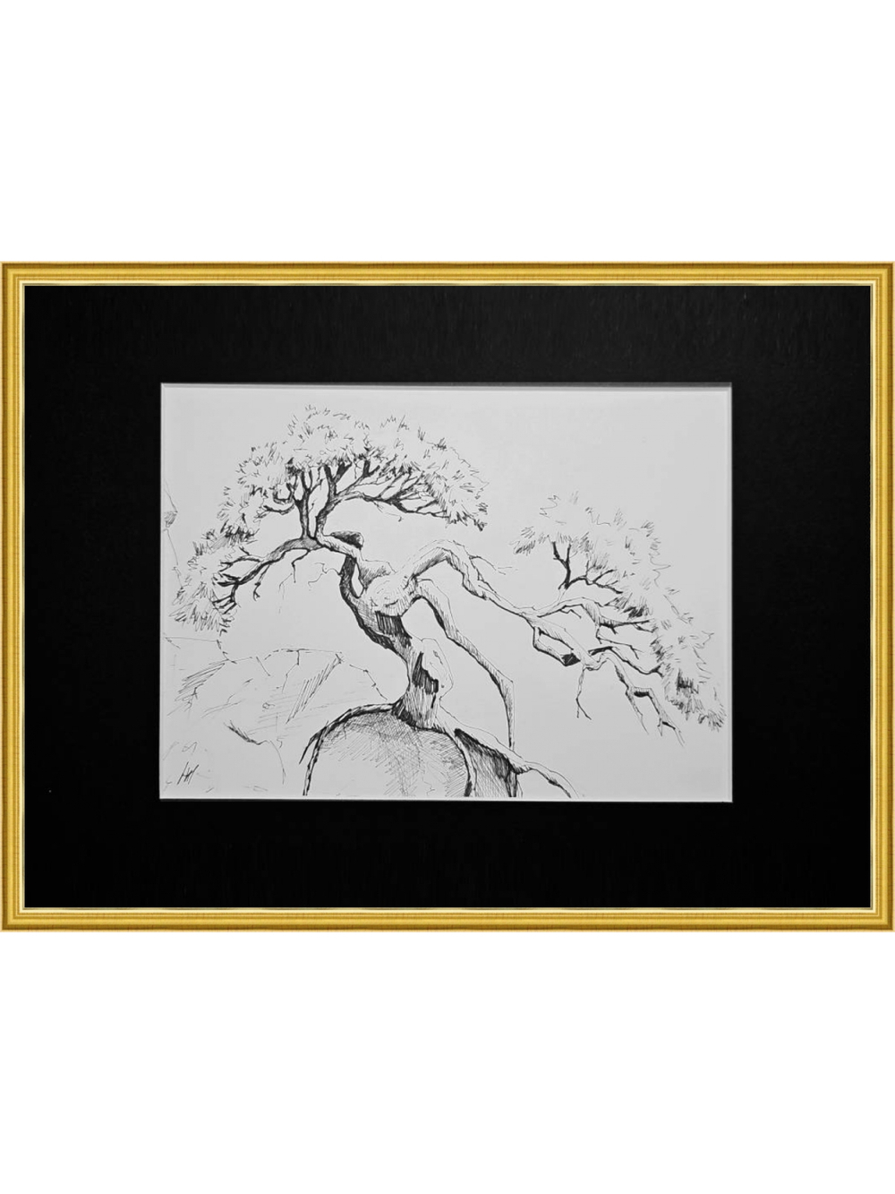 Картина, графика в паспарту 21х30 см на стену для интерьера "Сосна на утесе"