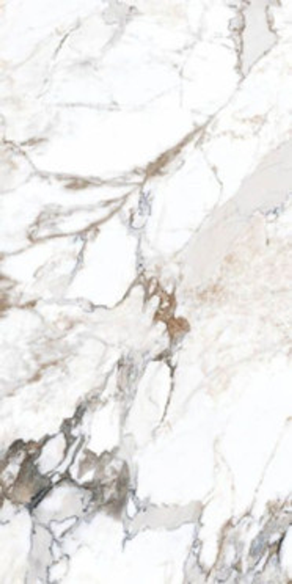 Керамогранит K949747LPR01VTEP Marble-X Бреча Капрайа Белый Лаппато Ректификат 60x120 от Vitra (Россия)