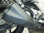 Kawasaki Ninja 1000 2011