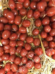 КОНФЕТТО F1 семена томата (Rijk Zwaan | Alexagro)