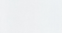 Микрошенилл Miss (Мисс) 52 белый дым