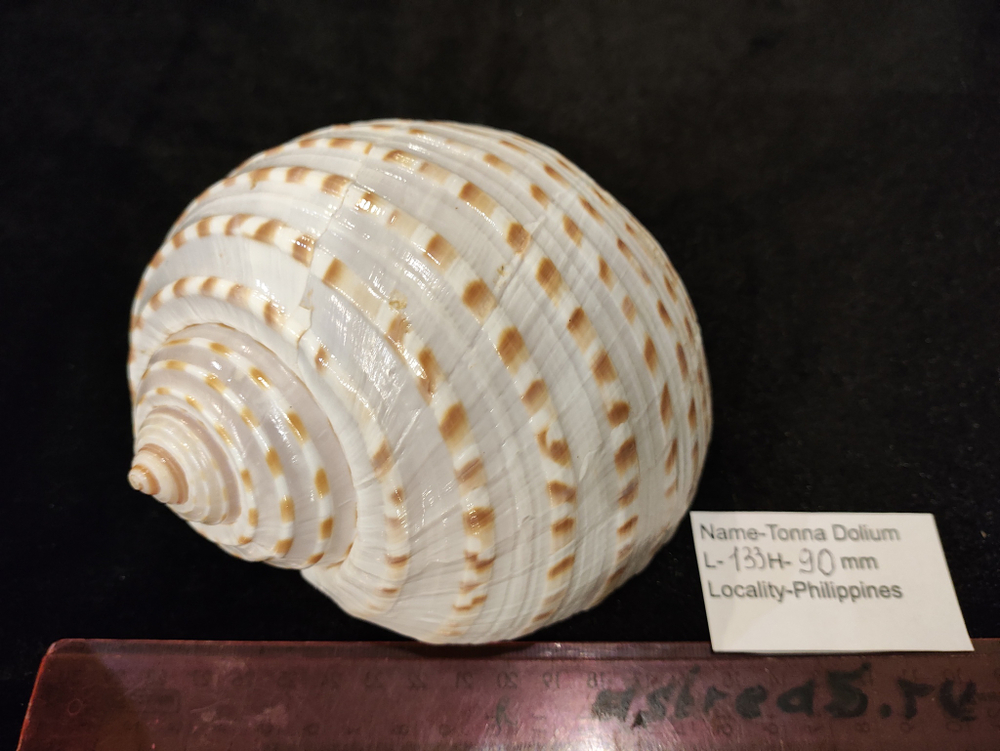 Тонна Долиум 120-150мм