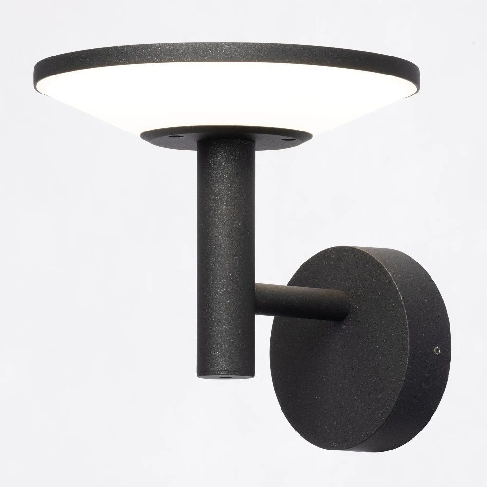 Citilux Dorn CLU05W LED Уличный настенный светильник Графит