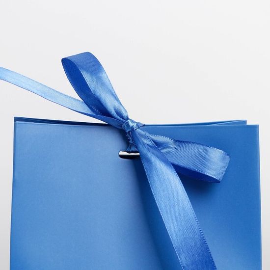 Пакет подарочный с лентой «Синий», 13 × 19 × 9 см 7303869