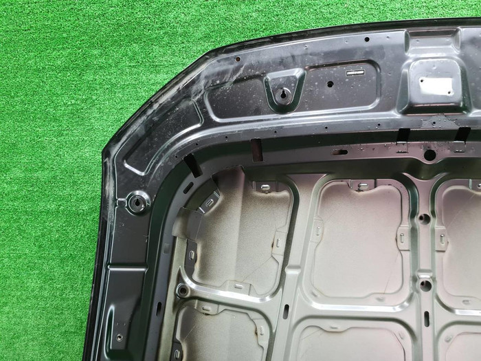 Капот Hongqi HS5 (2019-н.в.)