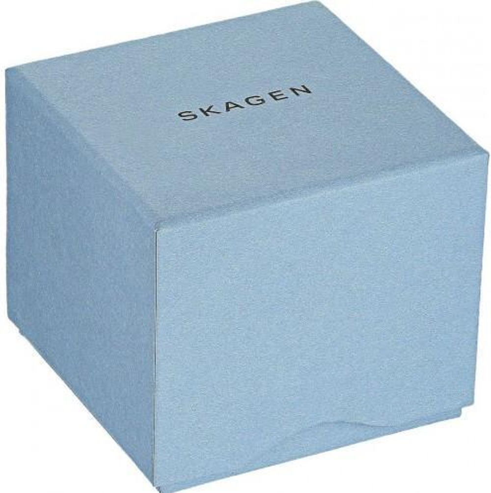 Мужские наручные часы Skagen SKW6450