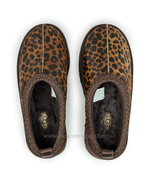 TAZZ - Caspian Burnt Cedar