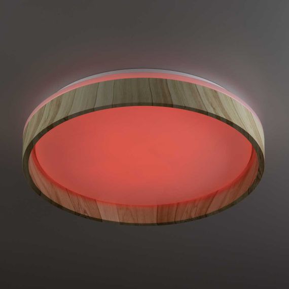 Потолочный светильник Citilux CL753352G