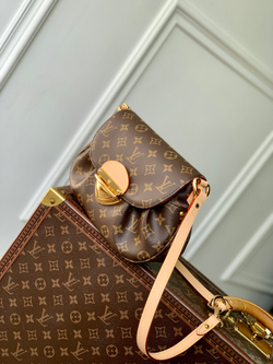 Louis Vuitton Sunset Bag