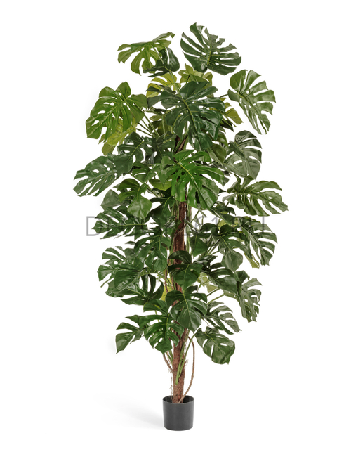 Монстера на стволе большая в-205 см 2/2 10.21206N